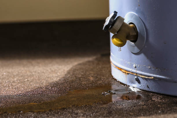 Best Carpet water damage restoration  in Genesee, ID