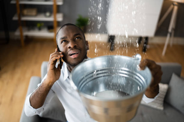 Best Water damage mitigation services  in Genesee, ID