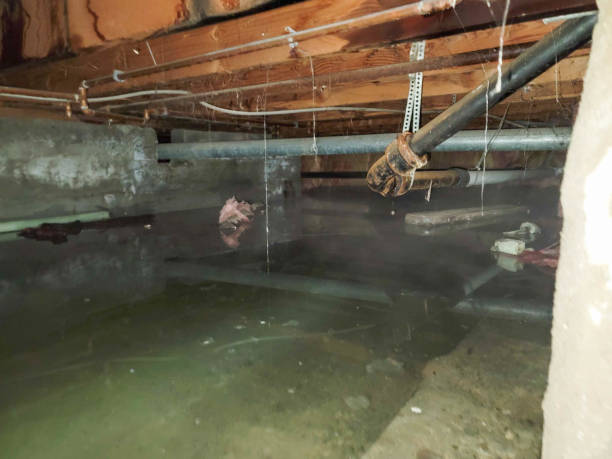 Best Flood restoration services  in Genesee, ID