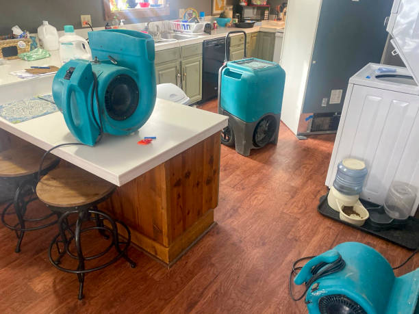 Reliable ID Water damage restoration Solutions