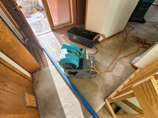 Best Water damage restoration near me  in Genesee, ID