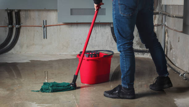 Best Flooded house restoration  in Genesee, ID
