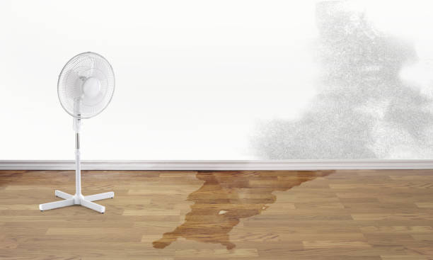 Best Water damage restoration cost  in Genesee, ID