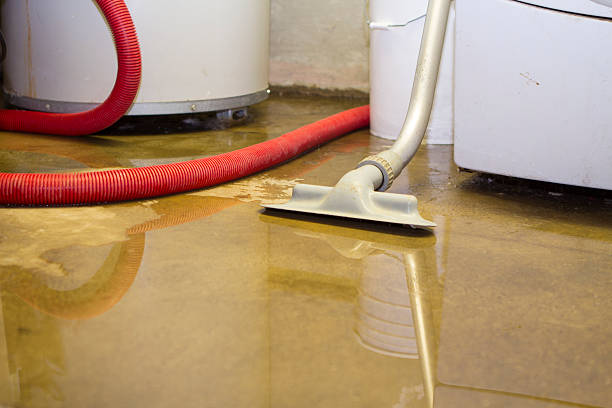 Best Fire Damage Restoration  in Genesee, ID