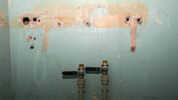 Best Sewage cleanup and water damage restoration  in Genesee, ID