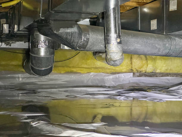 Best Water damage contractors near me  in Genesee, ID