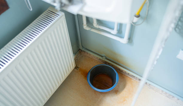 Best Emergency water damage restoration  in Genesee, ID