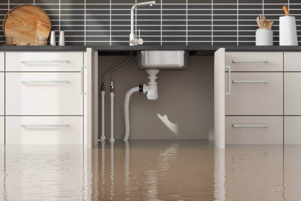 Best Water damage repair service  in Genesee, ID