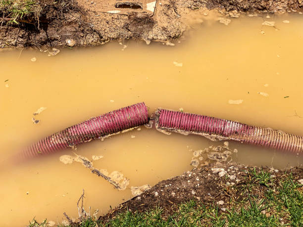 Best Residential water damage restoration  in Genesee, ID