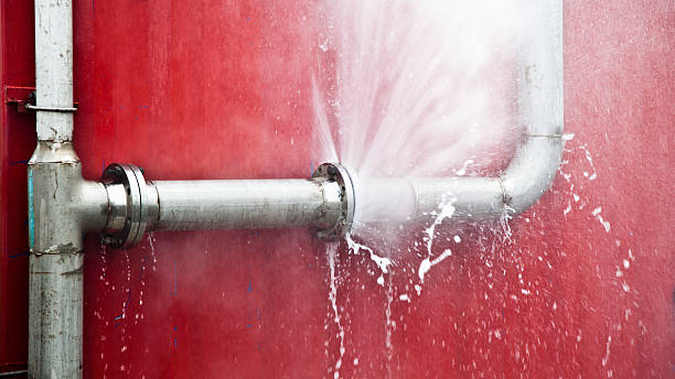 Best Professional water damage repair  in Genesee, ID